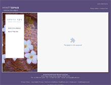 Tablet Screenshot of anaraspa.com